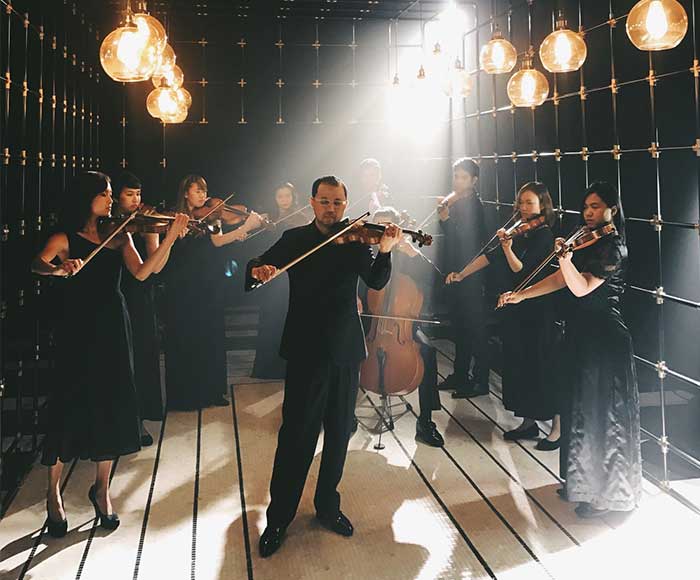 Feel the Joy of Classical Music with Pro Musica!